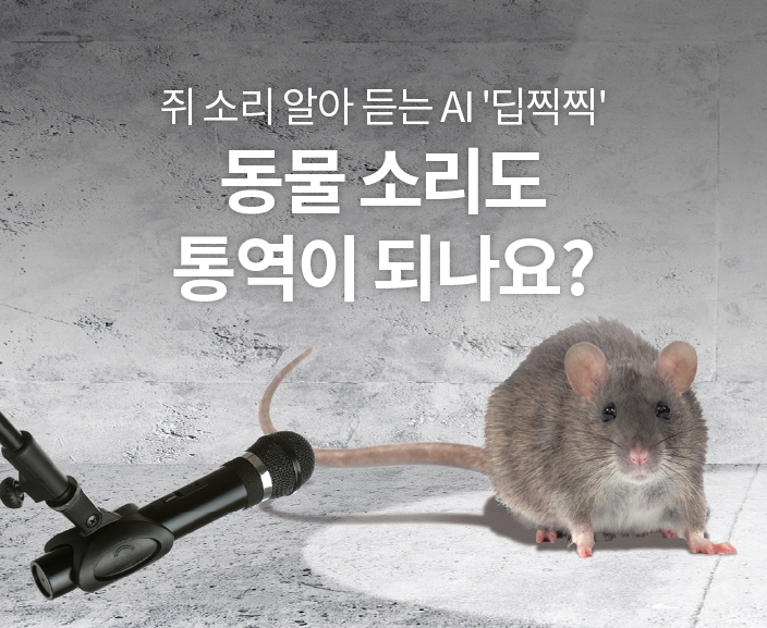 쥐 소리 알아 듣는 AI '딥찍찍' 동물 소리도 통역이 되나요?